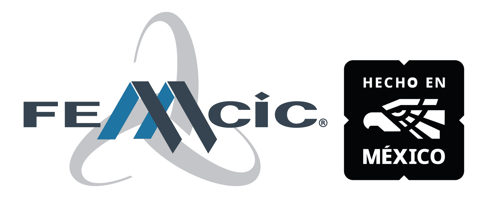 Logo FEMCIC2