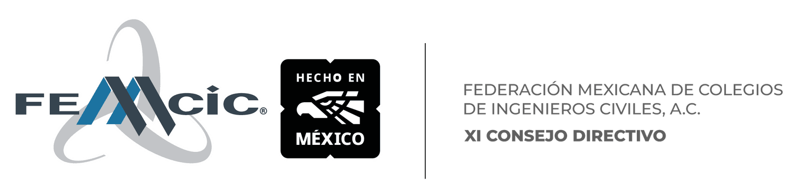 FEMCIC